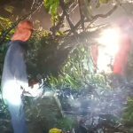 Hujan Disertai Angin Kencang Sebabkan Pohon dan Rumpun Bambu Tumbang di Cadas Pangeran