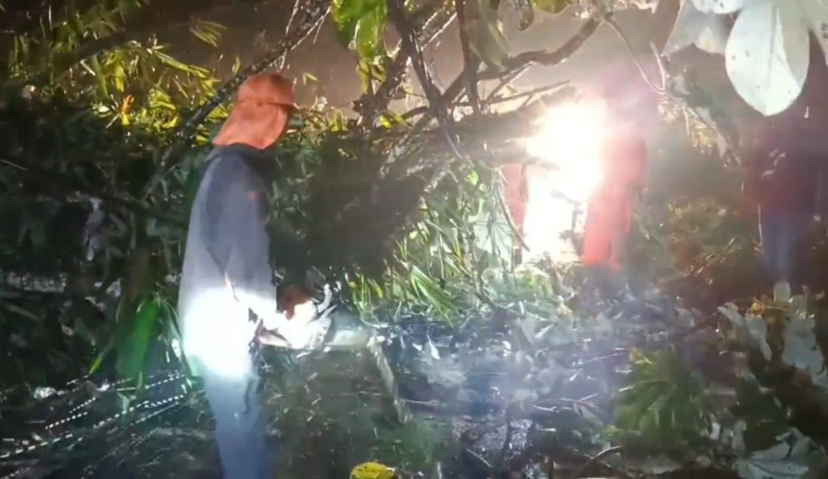 Hujan Disertai Angin Kencang Sebabkan Pohon dan Rumpun Bambu Tumbang di Cadas Pangeran