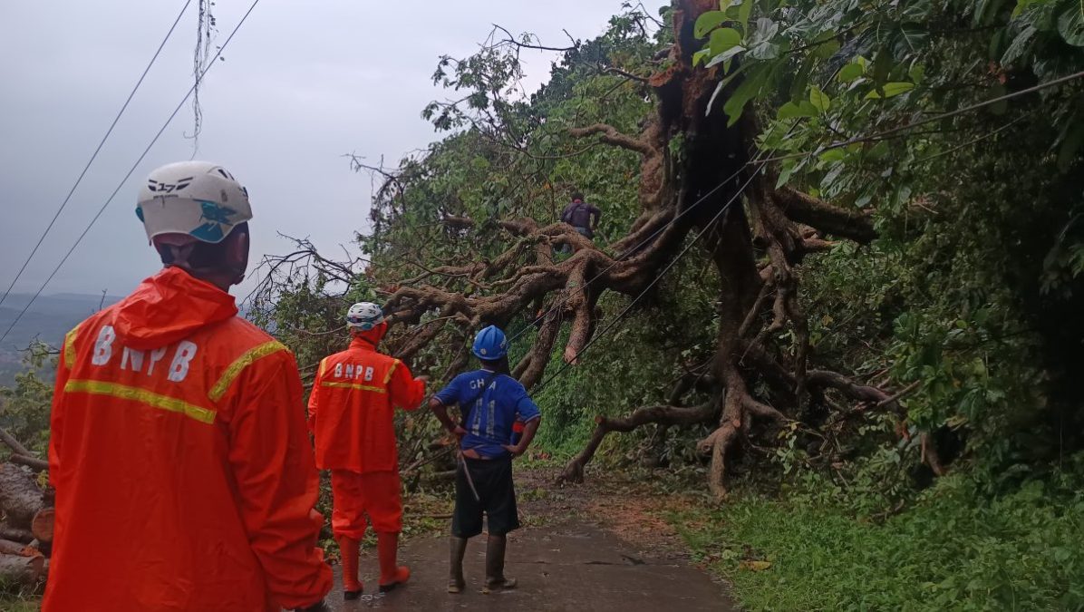 Pohon Tumbang Tutup Akses Antar Kecamatan di Sumedang, Evakuasi Berlangsung 4 Jam
