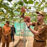 Wabup Sumedang Puji Inovasi Desa Mekar Rahayu, Wisata Edukatif dari Dana Desa