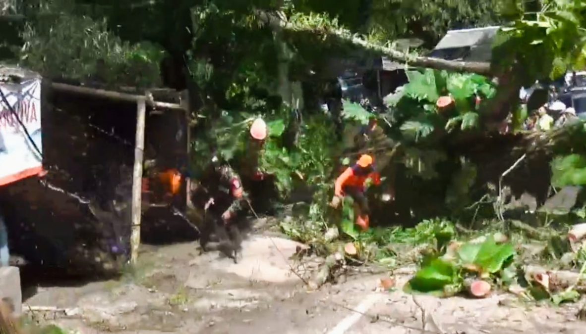 Tiga Petugas Nyaris Terseret ke Jurang Saat Evakuasi Pohon Tumbang di Cadas Pangeran