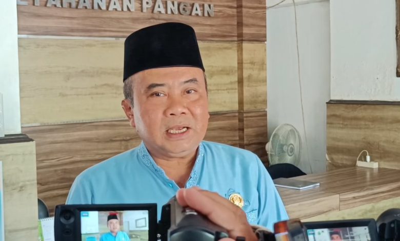 Sumedang Kebut Swasembada Pangan, Target 76 Ribu Hektare di 2025