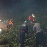 Akar Pohon Tumbang di Cadas Pangeran Sumedang, Arus Lalin Sempat Terhambat