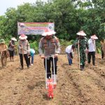 Dukung Ketahanan Pangan, Polres Sumedang Tanam Jagung di Lahan 6 Hektar