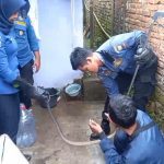 Ular Sowo Kopi Masuk Rumah Warga di Kebonkol Sumedang, Penghuni Ketakutan