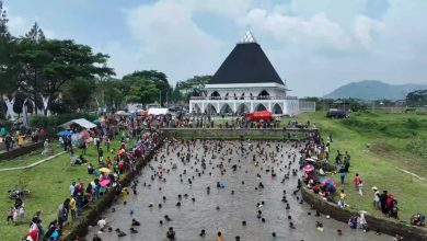 Semarak Ngagogo Lauk di PPS Sumedang, Warga Tangkap Ikan dengan Tangan Kosong
