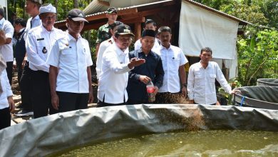 Pemuda Desa di Sumedang Dapat Dukungan, Budidaya Gurame di Surian Siap Menggeliat