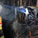 Tiga Kambing Terpanggang dalam Kebakaran Kandang di Sumedang, Kerugian Belasan Juta Rupiah