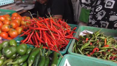 Harga Cabai Merah Tanjung di Sumedang Melonjak, Ini Pemicunya