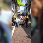 Gagal Mendarat, Pilot Paralayang Asal Singapura Tersangkut di Pohon Palem di Sumedang