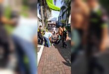 Gagal Mendarat, Pilot Paralayang Asal Singapura Tersangkut di Pohon Palem di Sumedang