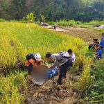 Pilot Paralayang Asal Singapura Alami Kecelakaan Mendarat di Pelosok Persawahan Sumedang