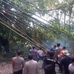 Hujan Deras Sebabkan Rumpun Bambu Tumbang, Akses Jalan di Sumedang Lumpuh Total