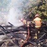 Dua Kandang di Sumedang Hangus Terbakar, Ribuan Ayam Mati Terpanggang