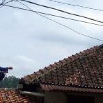 Guru SMP di Sumedang Diserang Monyet, Damkar Turun Tangan Lakukan Evakuasi