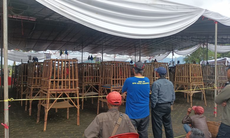 Sumedang Jadi Tuan Rumah Mama Djarkasih Cup 2025, Dorong Pelestarian Ayam Pelung Nasional