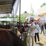 Kontes Sapi dan Expo Peternakan Unpad 2026 di Sumedang, Dorong Peternak Lokal Naik Kelas