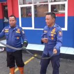 Damkar Sumedang Evakuasi King Kobra 4 Meter Sembunyi di Bawah Kasur