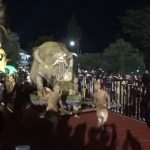 Meriah! 27 Daerah Ramaikan Kirab Budaya Milangkala Tatar Sunda di Sumedang