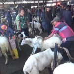 Jelang Iduladha, Penjualan Domba di Pasar Tanjungsari Sumedang Meningkat 30 Persen