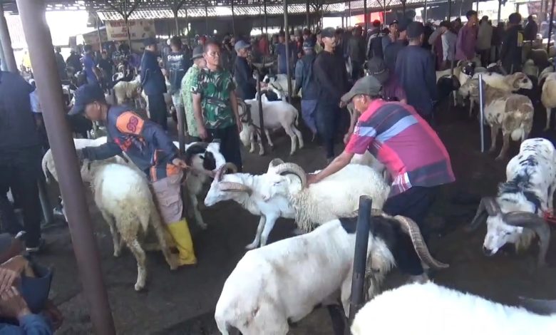 Jelang Iduladha, Penjualan Domba di Pasar Tanjungsari Sumedang Meningkat 30 Persen